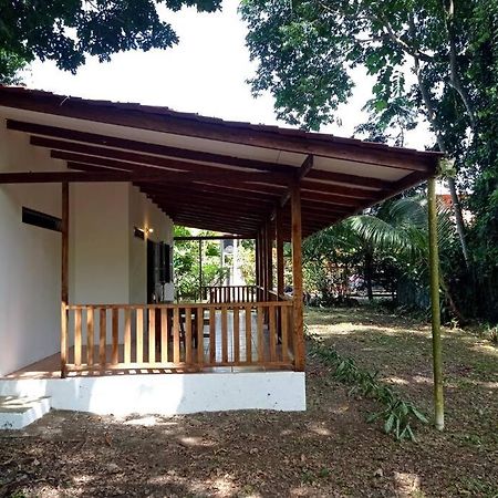 Green Papaya Villa Puerto Viejo de Talamanca Eksteriør bilde