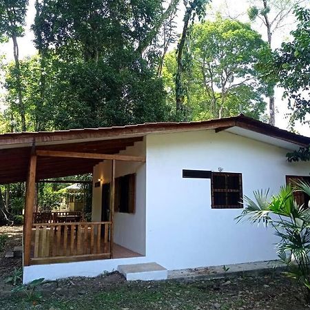 Green Papaya Villa Puerto Viejo de Talamanca Eksteriør bilde