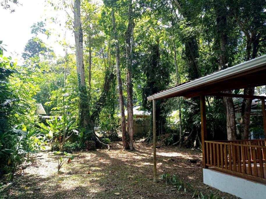 Green Papaya Villa Puerto Viejo de Talamanca Eksteriør bilde
