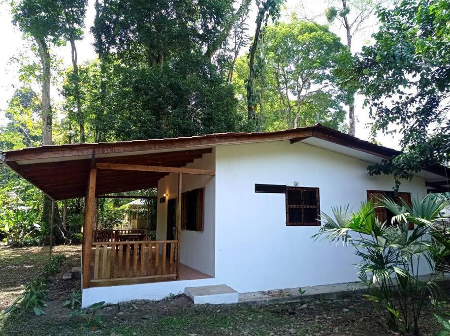 Green Papaya Villa Puerto Viejo de Talamanca Eksteriør bilde