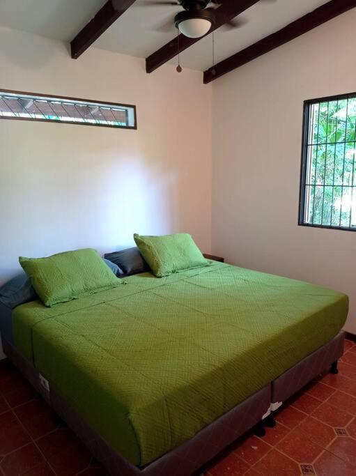 Green Papaya Villa Puerto Viejo de Talamanca Eksteriør bilde